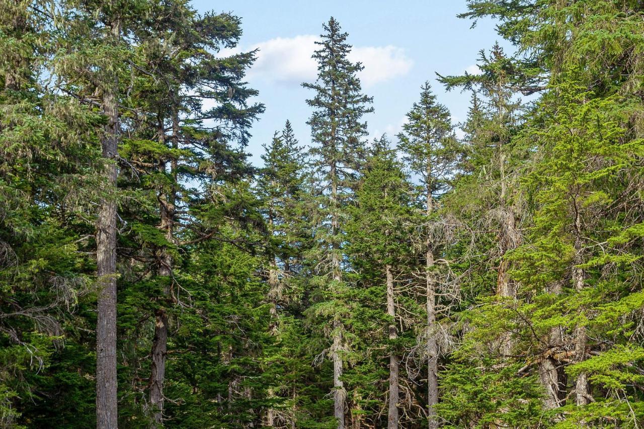Vail Chalet Girdwood Zewnętrze zdjęcie